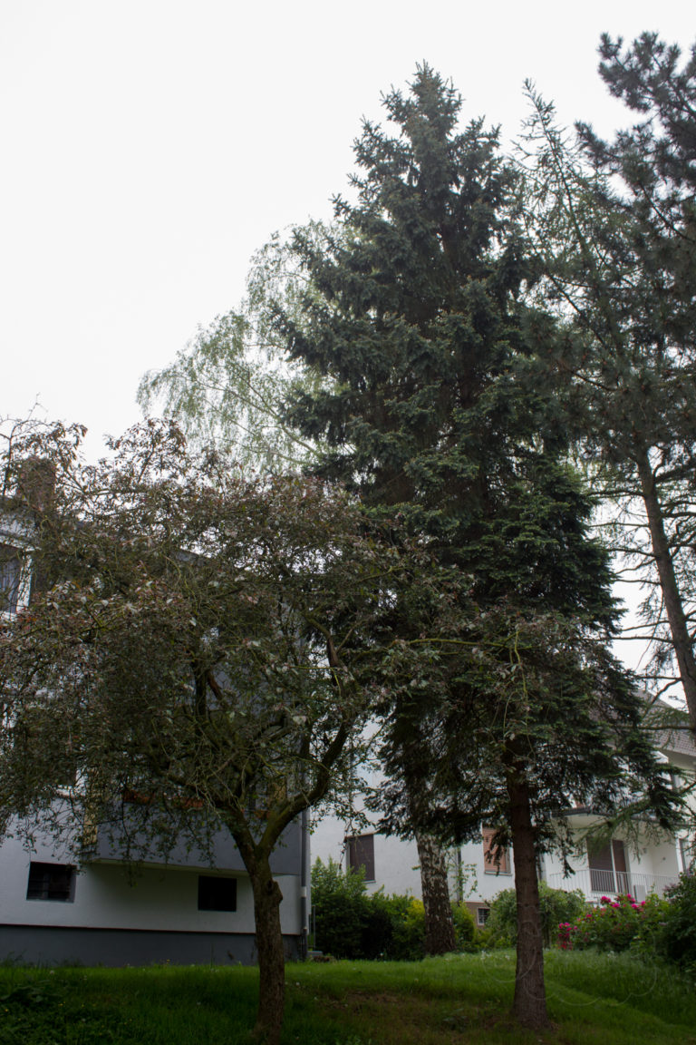 ein 12tel Blick April Fabulatoria