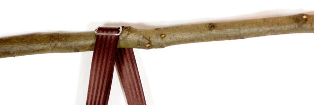 Heute hängt die Urshult auf dem Ast Fabulatoria