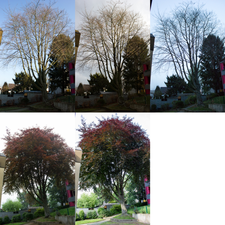 ein 12tel Blick Mai Fabulatoria