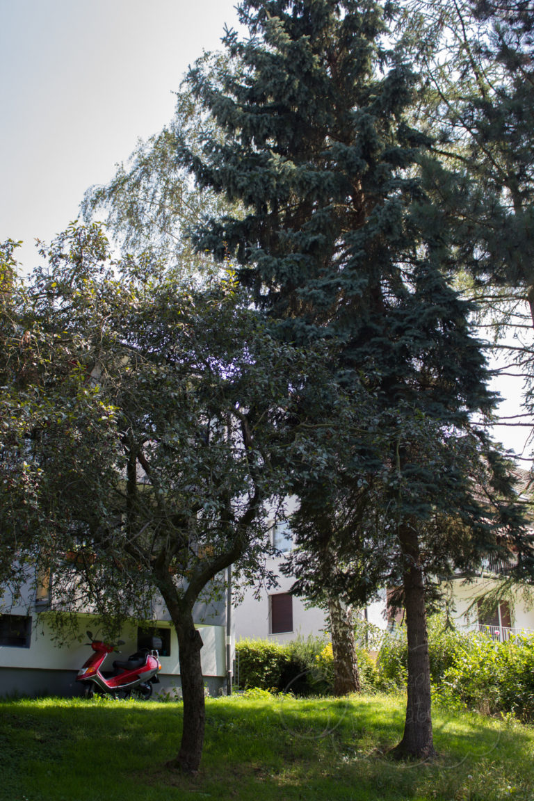 ein 12tel Blick Juli Fabulatoria