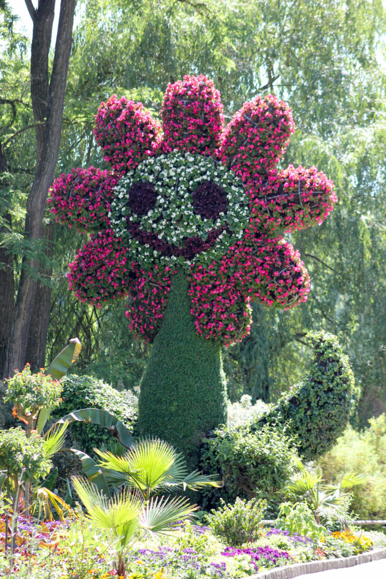 Blumen auf der Mainau Fabulatoria