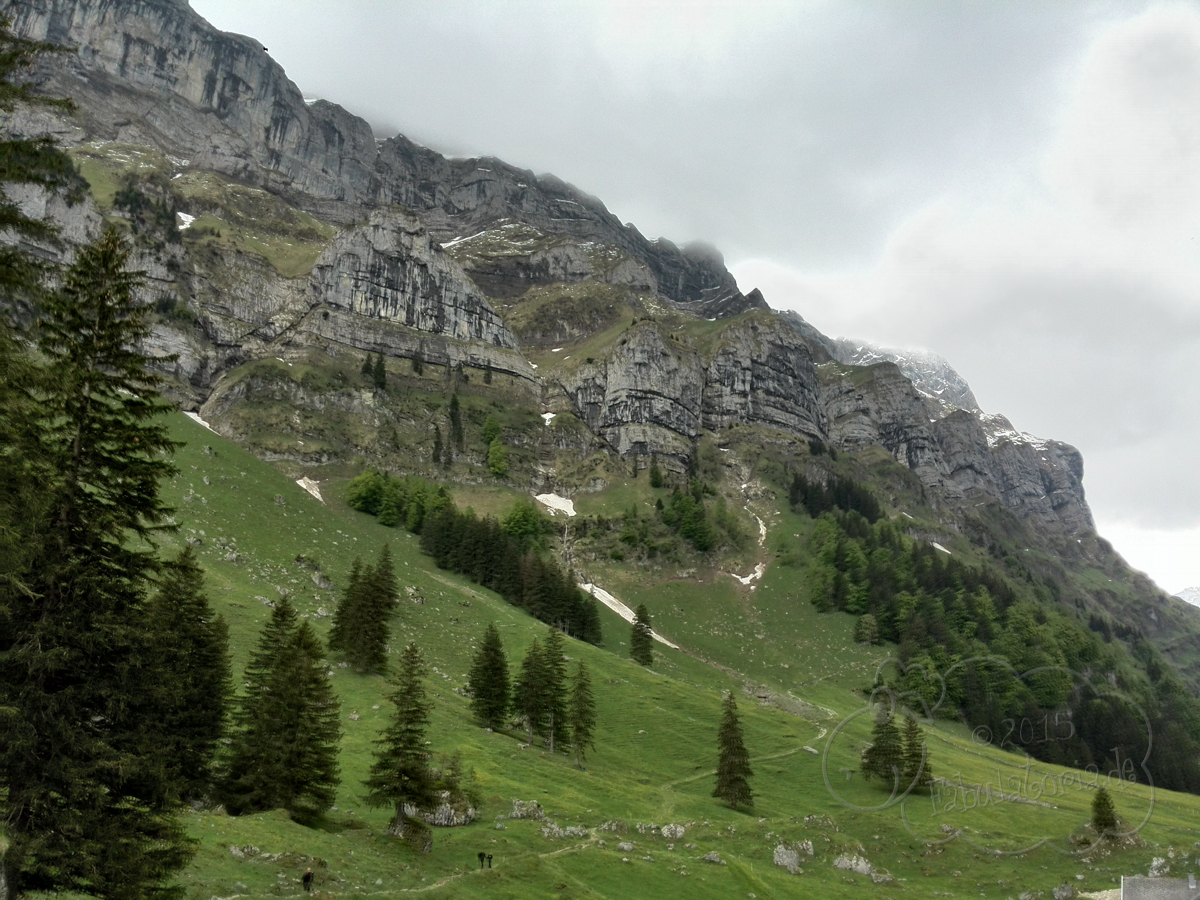 Der Bodensee, FotoPremio, die Alpen und ein Giveaway