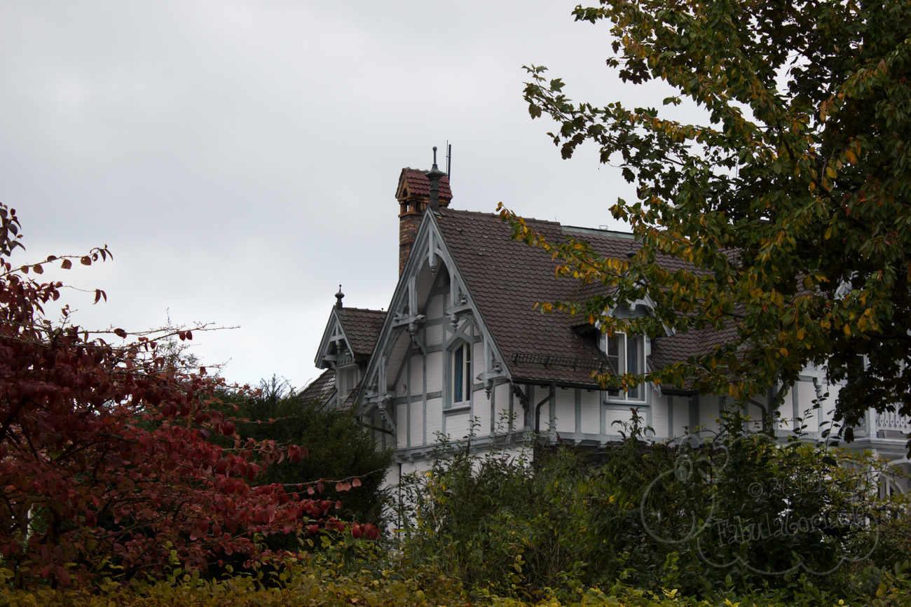 Herbstspaziergang in Konstanz am Bodensee