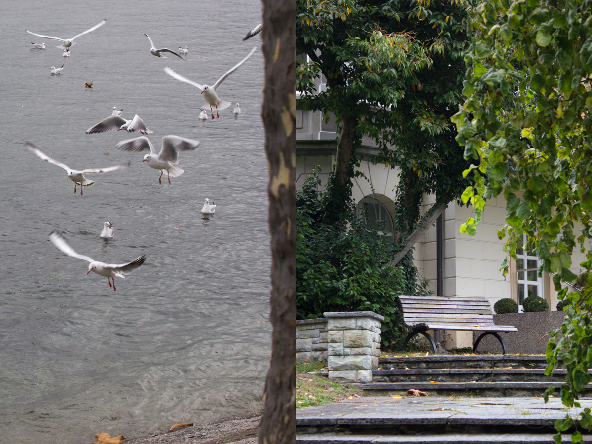 Herbstspaziergang in Konstanz am Bodensee