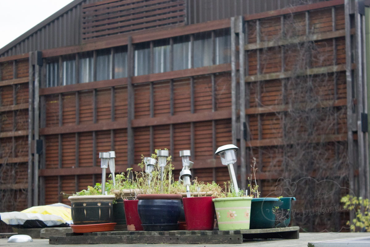 #BlogowskiLondonJourney – Little Venice