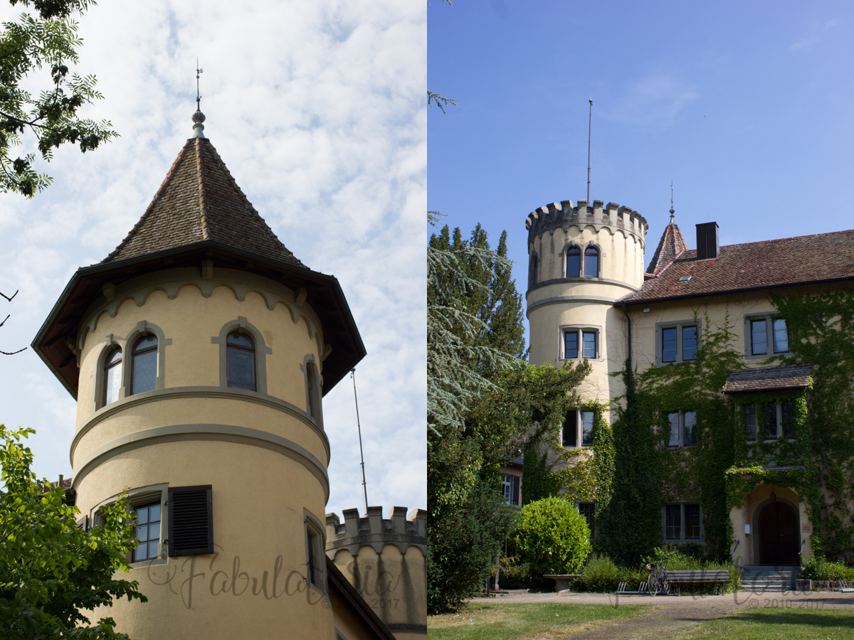 Schloß Königsegg und Waterfallraglan in blau mit Punkten