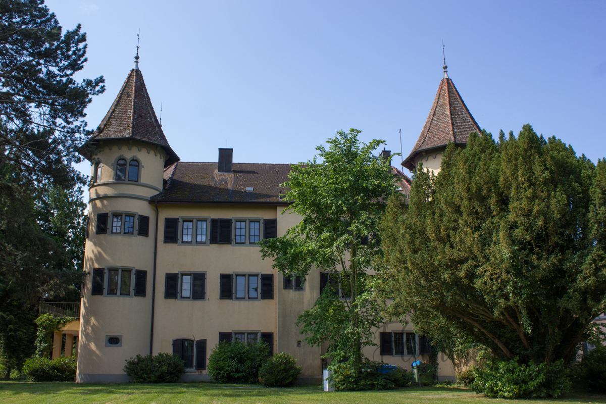 Schloß Königsegg und Waterfallraglan in blau mit Punkten